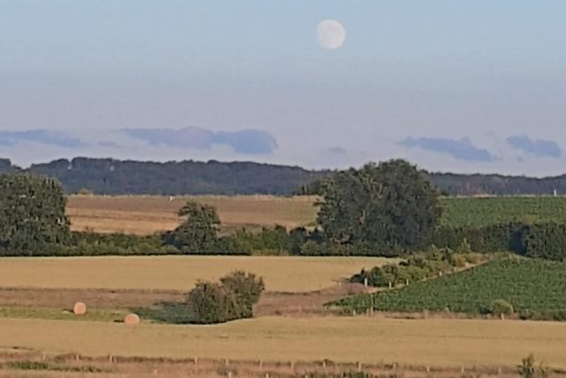Arlon  e Nossa Senhora da Conceição
