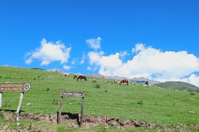 Tafi del Valle