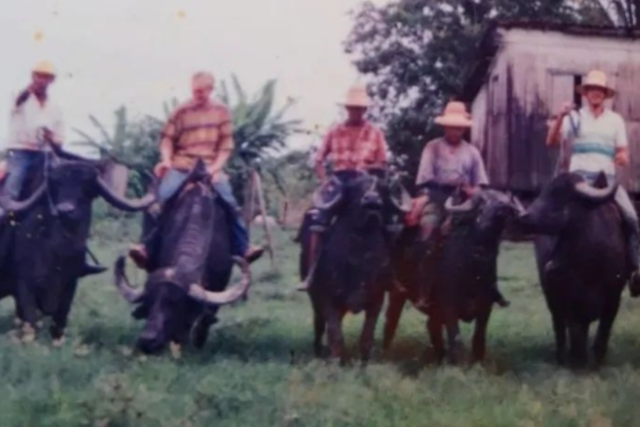 Amizade
