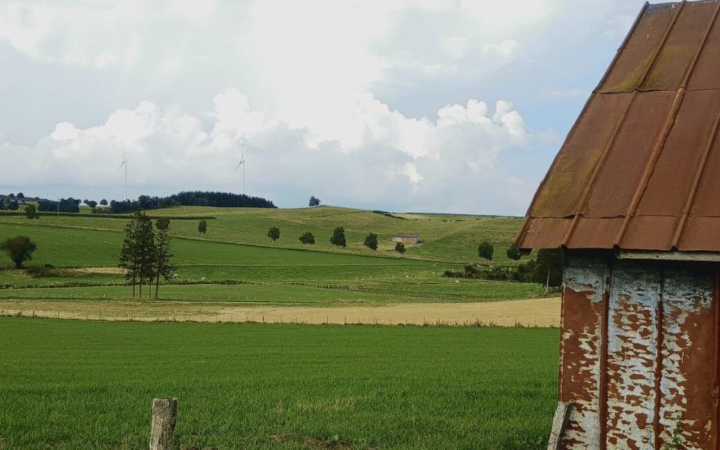 Várzea e tapera