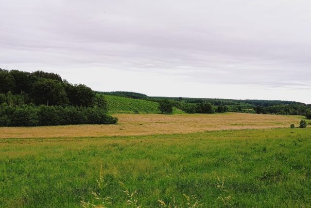 Várzea e tapera