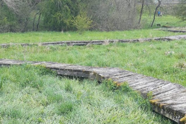 Várzea e tapera