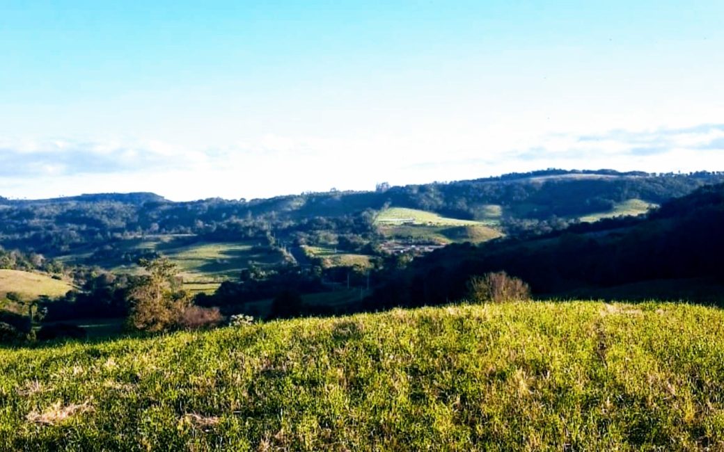 Viajeiro