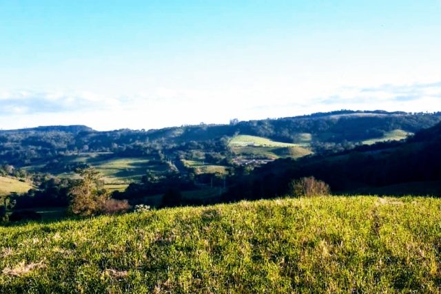 Viajeiro