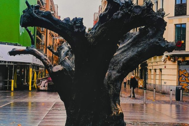 Salvador Dali