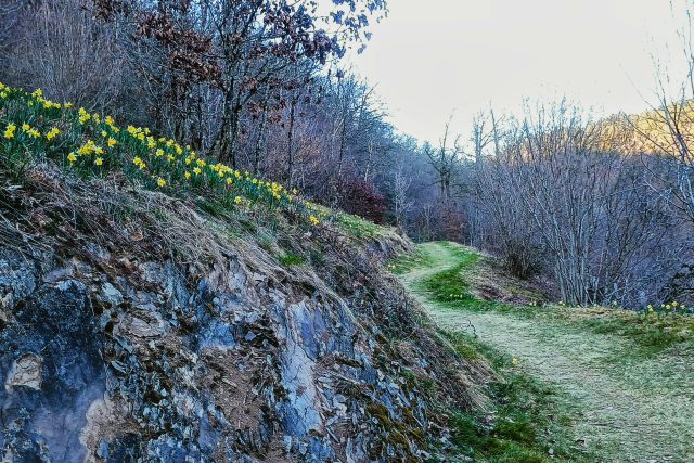 Primavera