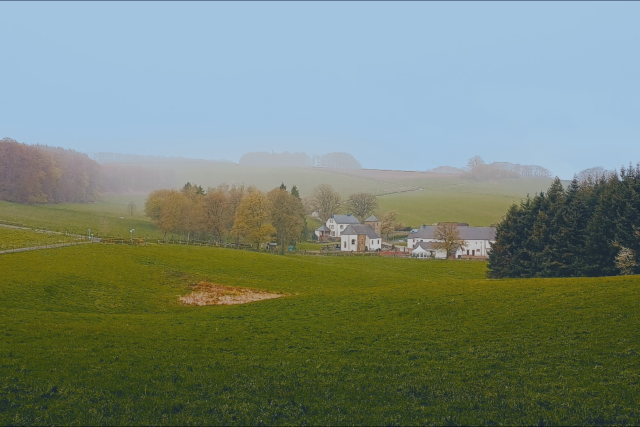 Rindschleiden