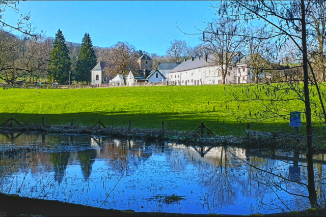 Rindschleiden