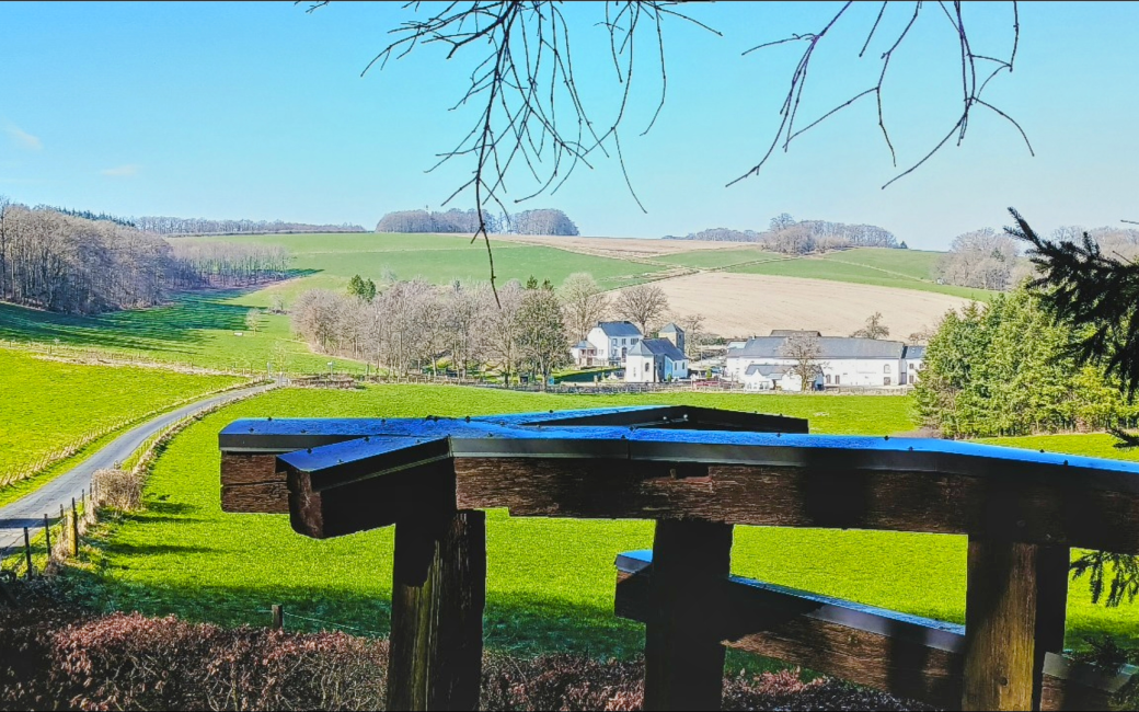 Rindschleiden