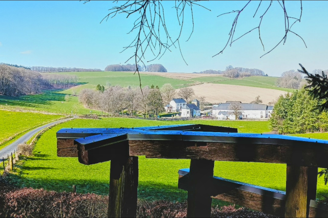 Rindschleiden