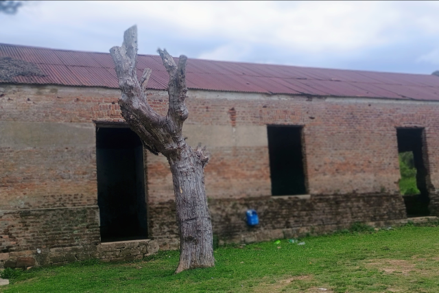 Quaraí