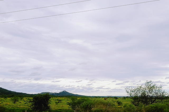 Quaraí
