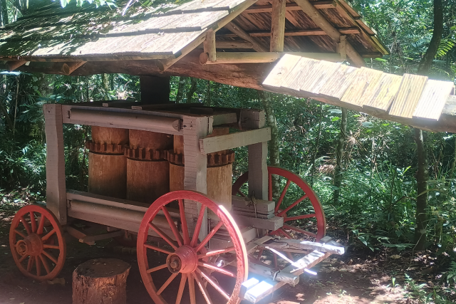 Dia do trabalhador