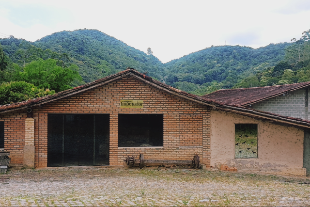 Bolichos, cantinas e bodegas