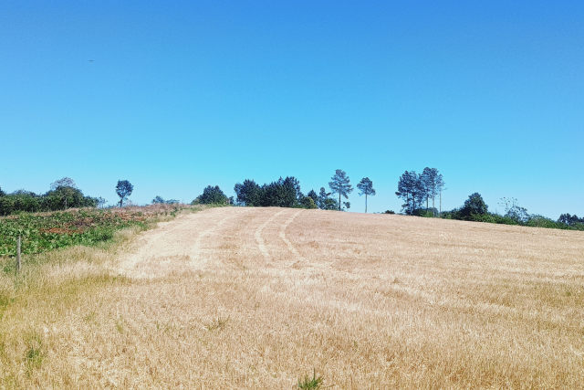 Cilada Cilindrada