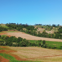 Cilada Cilindrada