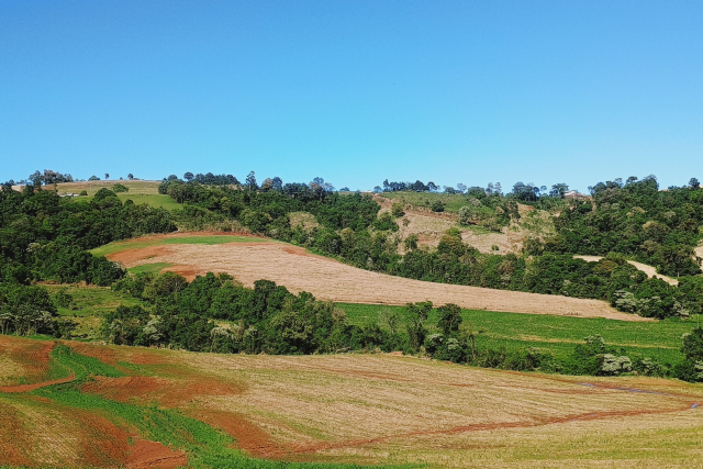 Cilada Cilindrada